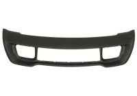 Decorative/protection panel, bumper