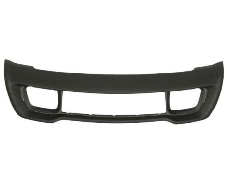 Decorative/protection panel, bumper