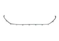 Decorative/protection panel, bumper