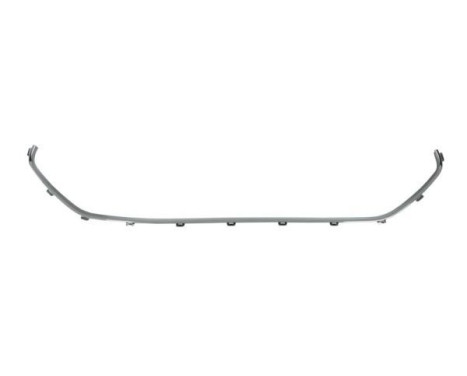 Decorative/protection panel, bumper