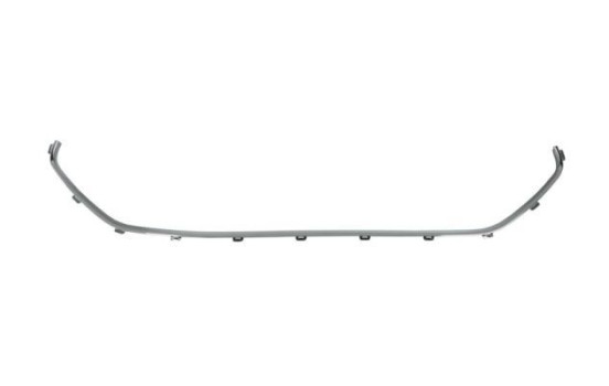 Decorative/protection panel, bumper