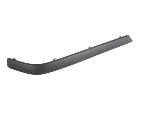 Decorative/protection panel, bumper