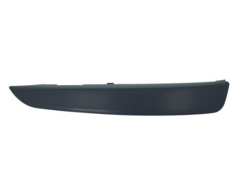 Decorative/protection panel, bumper