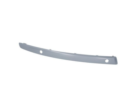 Decorative/protection panel, bumper