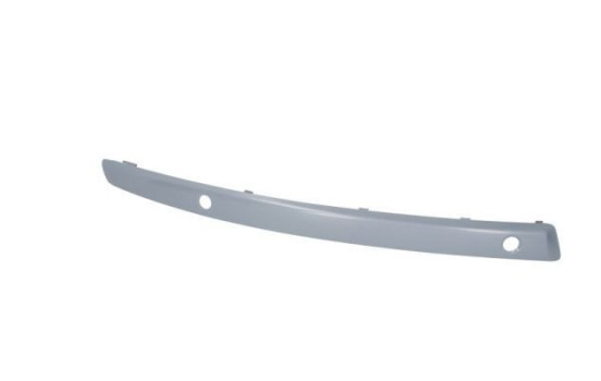 Decorative/protection panel, bumper