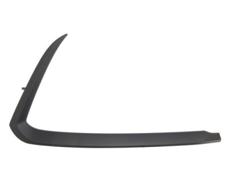 Decorative/protection panel, bumper