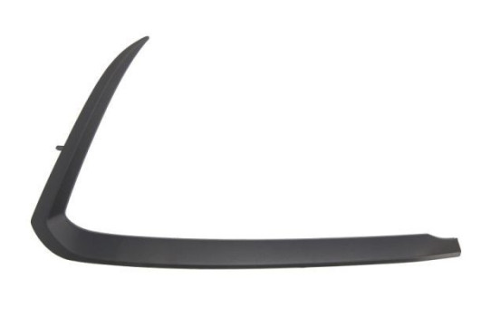 Decorative/protection panel, bumper