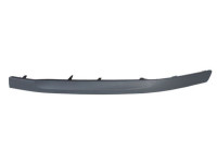 Decorative/protection panel, bumper