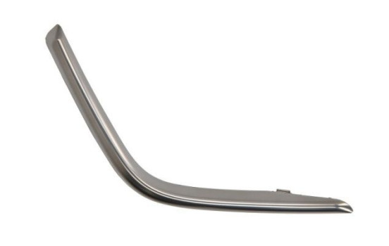 Decorative/protection panel, bumper