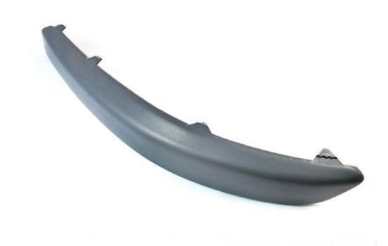 Decorative/protection panel, bumper