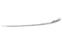 Decorative/protection panel, bumper