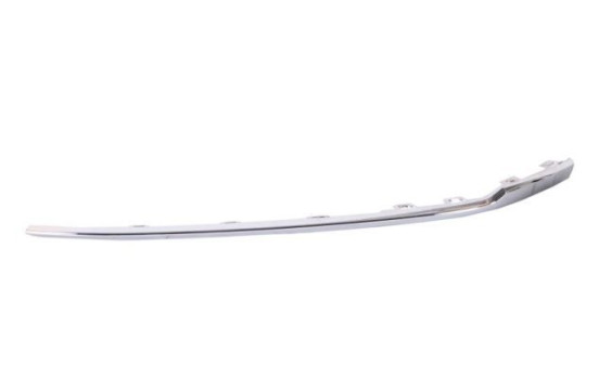 Decorative/protection panel, bumper