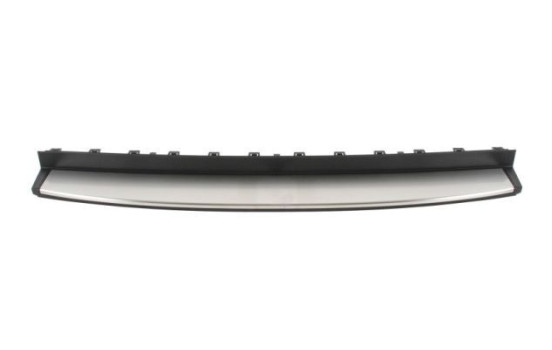Decorative/protection panel, bumper