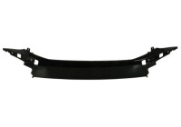 Decorative/protection panel, bumper