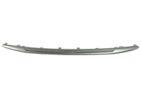 Decorative/protection panel, bumper