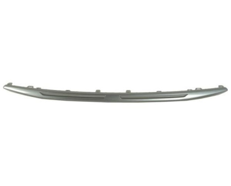 Decorative/protection panel, bumper