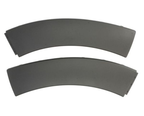 Decorative/protection panel, bumper