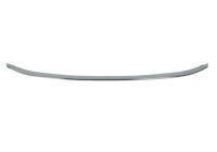 Decorative/protection panel, bumper