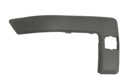 Decorative/protection panel, bumper