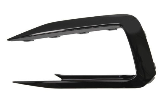 Decorative/protection panel, bumper