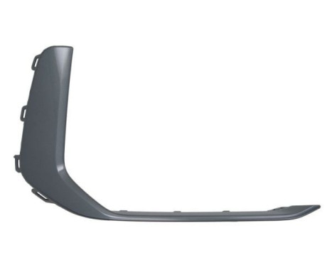 Decorative/protection panel, bumper