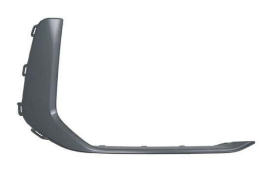 Decorative/protection panel, bumper