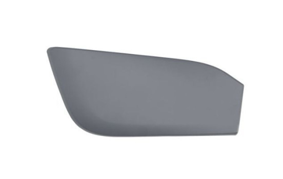 Decorative/protection panel, bumper