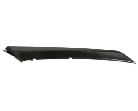 Decorative/protection panel, bumper