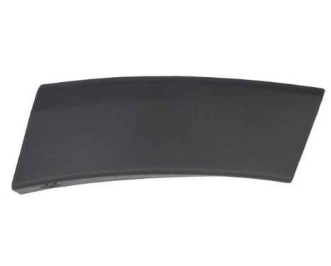 Decorative/protection panel, bumper