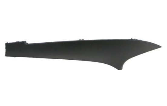 Decorative/protection panel, bumper