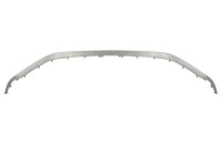 Decorative/protection panel, bumper