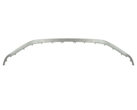 Decorative/protection panel, bumper