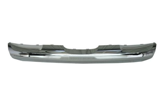 Decorative/protection panel, bumper