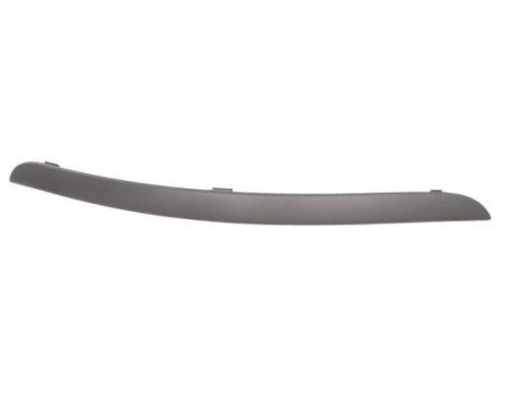 Decorative/protection panel, bumper