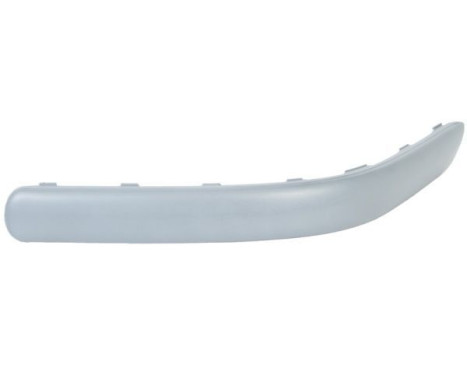 Decorative/protection panel, bumper