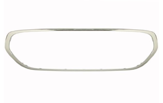 Decorative/protection panel, bumper