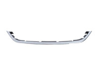 Decorative/protection panel, bumper