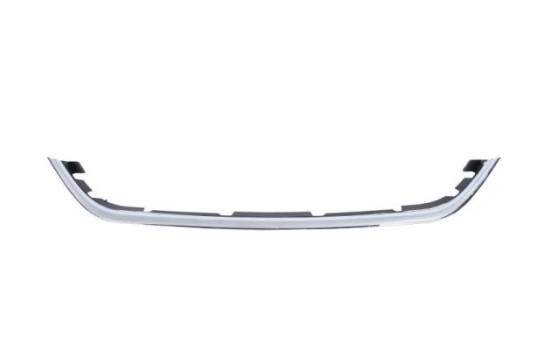 Decorative/protection panel, bumper