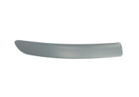 Decorative/protection panel, bumper