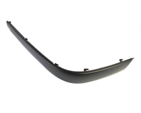 Decorative/protection panel, bumper