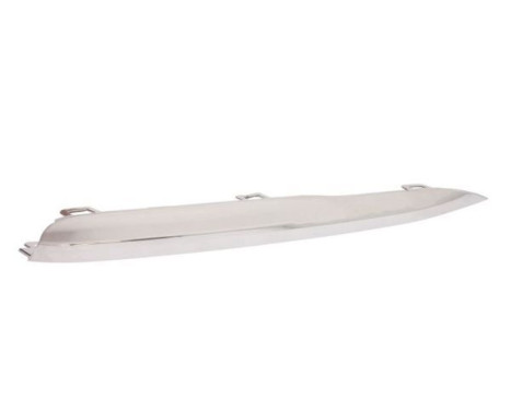 Decorative/protection panel, bumper