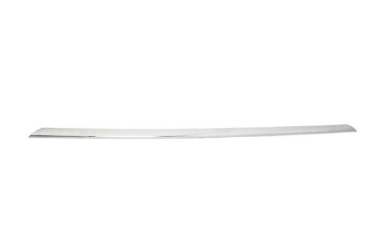 Decorative/protection panel, bumper