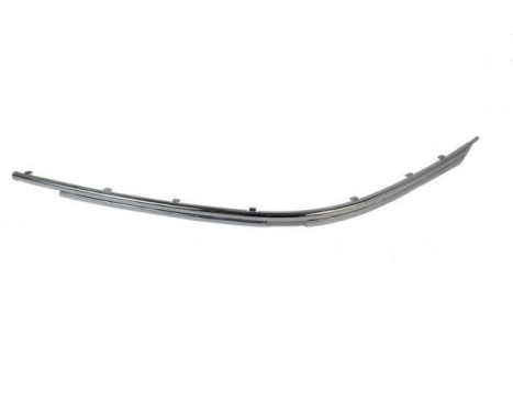 Decorative/protection panel, bumper