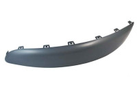 Decorative/protection panel, bumper
