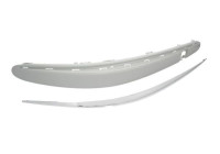 Decorative/protection panel, bumper