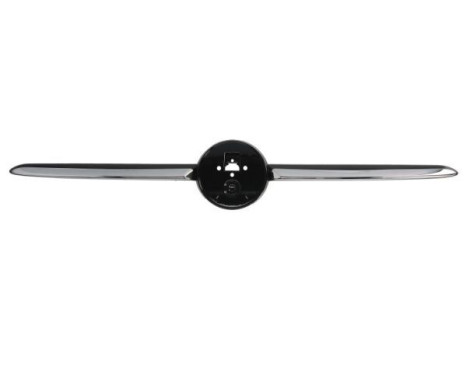 Decorative/protection panel, bumper