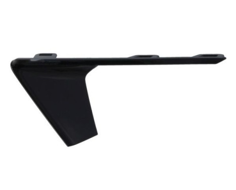 Decorative/protection panel, bumper