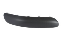 Decorative/protection panel, bumper