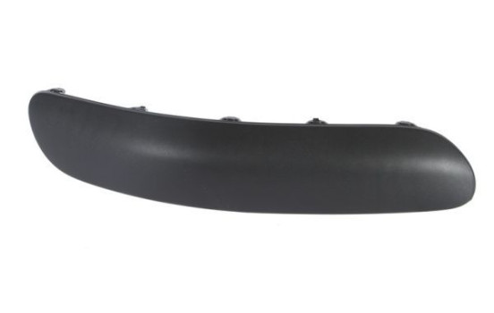 Decorative/protection panel, bumper