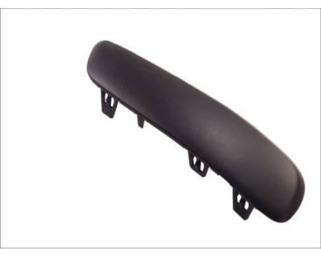 Decorative/protection panel, bumper